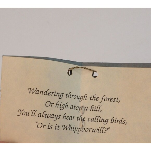 Tanglewood Forest Limited Edition Artist Doll By Marci Wolfe Whippoorwill - Picture 6 of 8